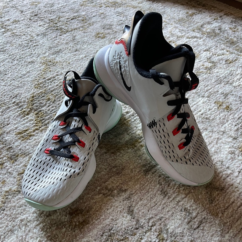 Nike Lebron Witness 5